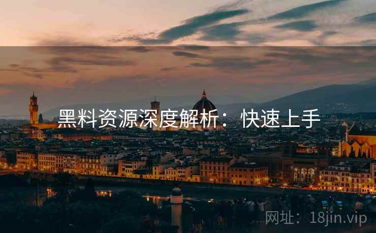 黑料资源深度解析：快速上手