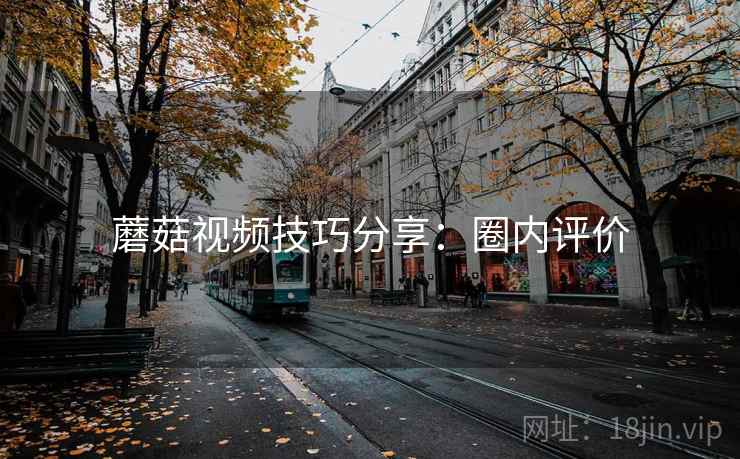 蘑菇视频技巧分享:圈内评价 蘑菇视频技巧分享:圈内评价