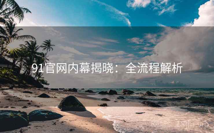 91官网内幕揭晓：全流程解析